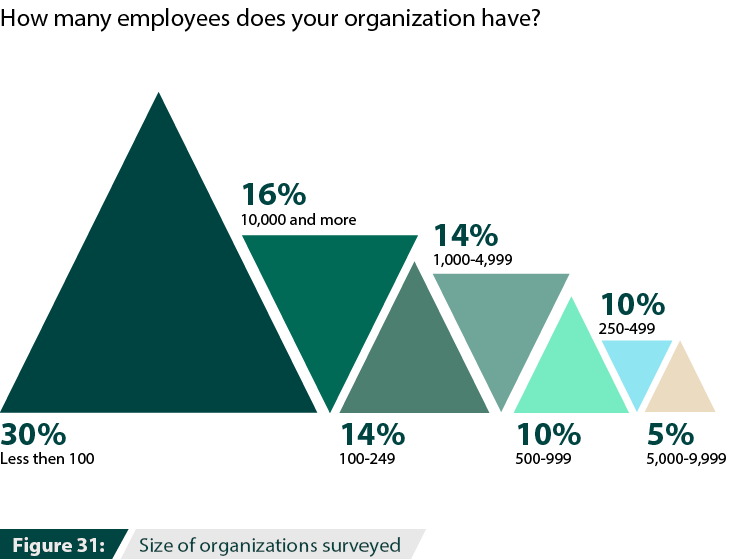 Size of organizations surveyed